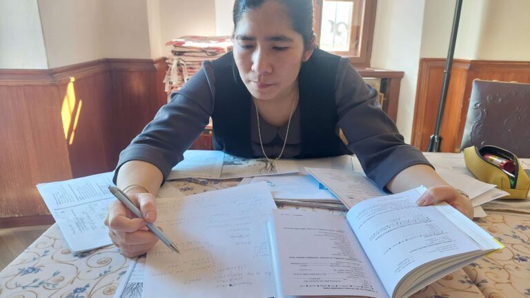 Czech Exam Preparation