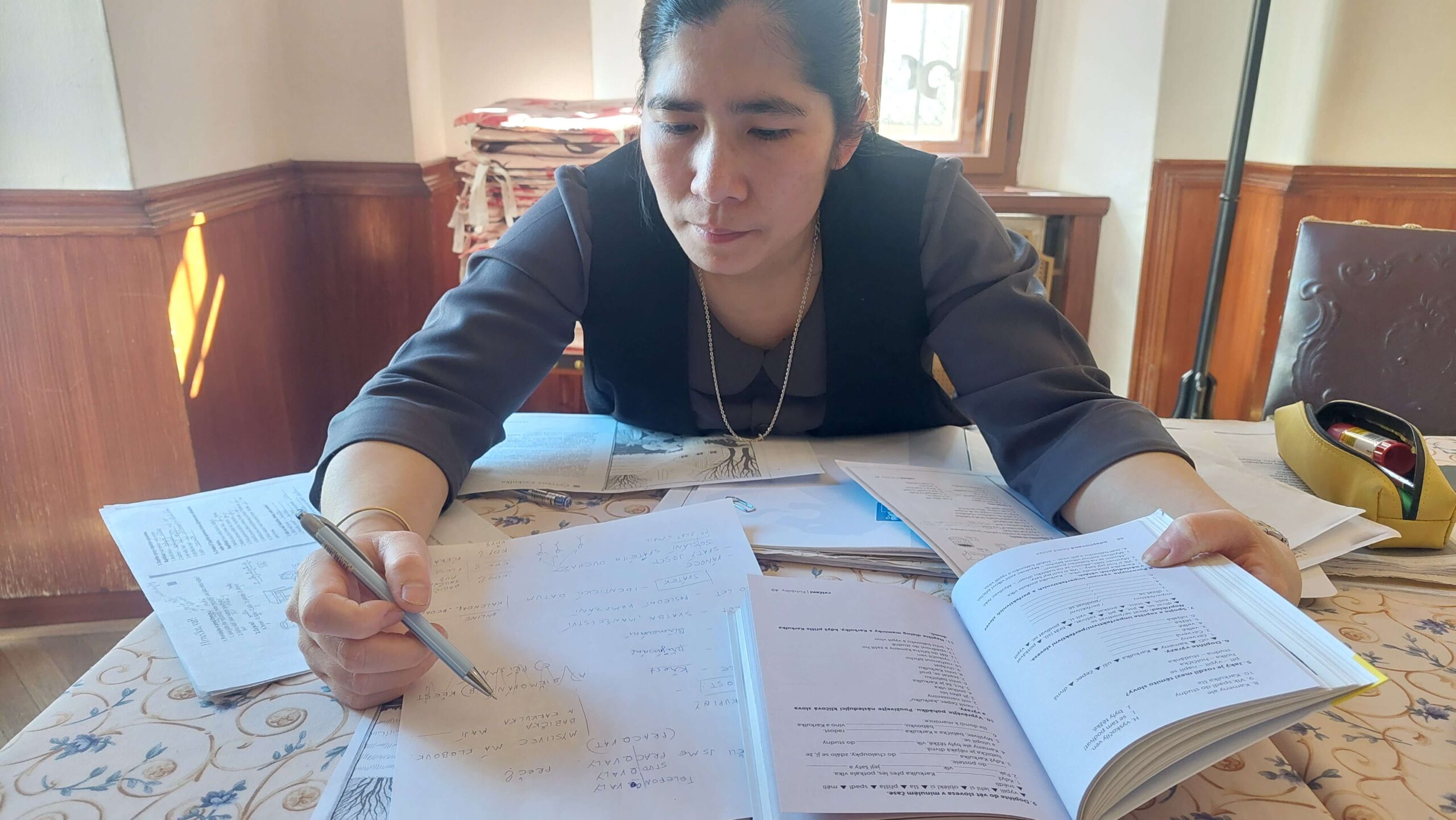 Czech Exam Preparation